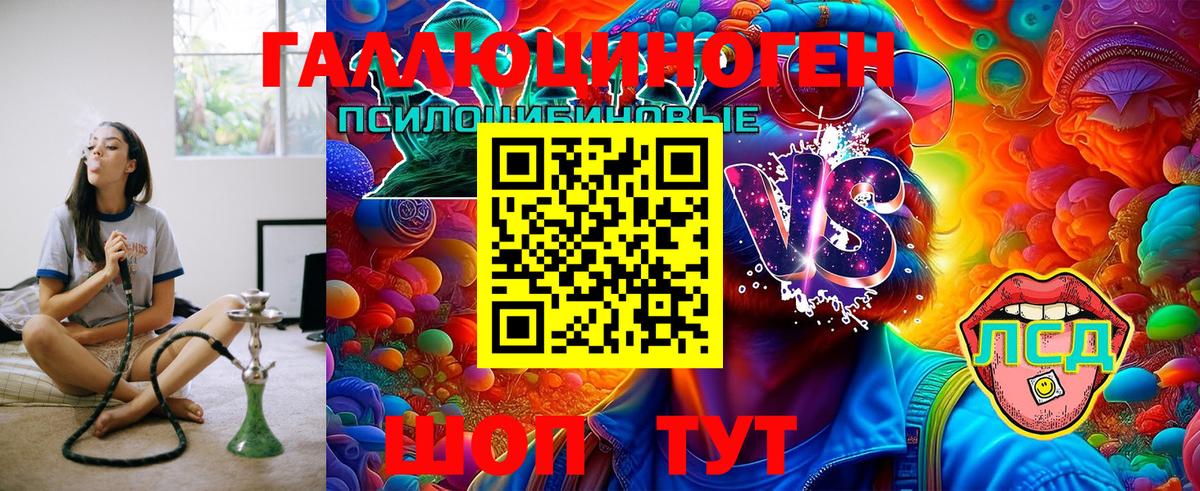 Галлюциногенные грибы Psilocybe  Вход с VPN  Троицк 