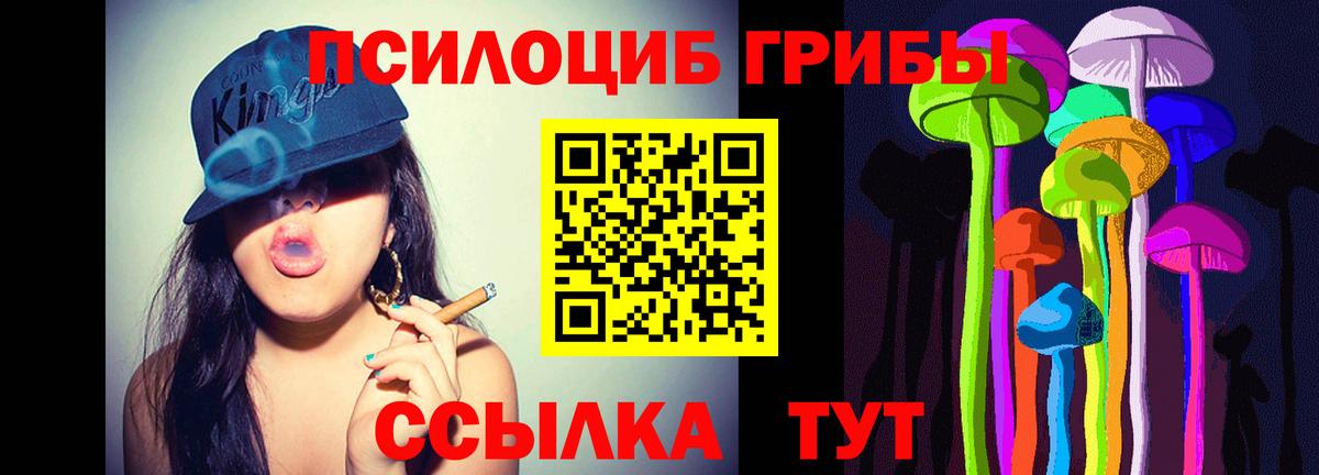 Псилоцибиновые грибы мухоморы Троицк